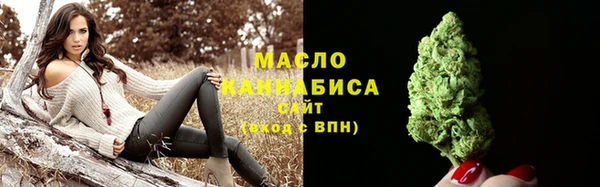 индика Зеленокумск