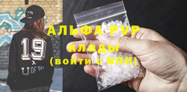 индика Зеленокумск