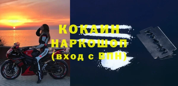 индика Зеленокумск