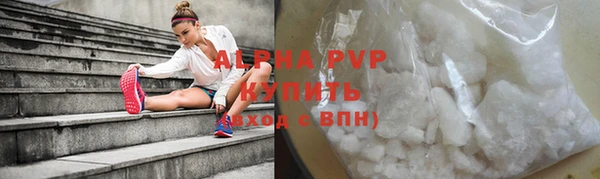 индика Зеленокумск