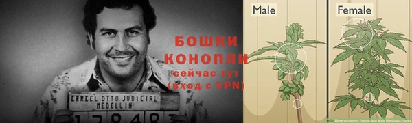 индика Зеленокумск