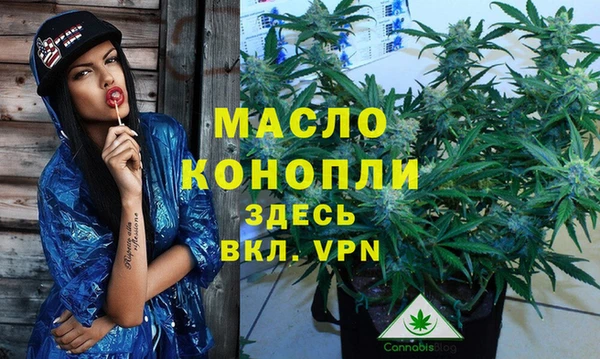 твердый Зеленодольск
