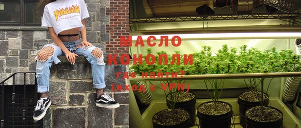 индика Зеленокумск