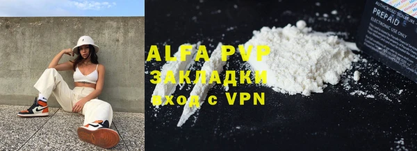 индика Зеленокумск