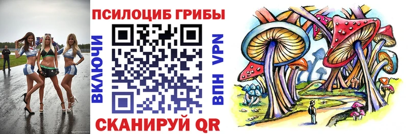 Купить  Заозёрск  Галлюциногенные грибы Cubensis 